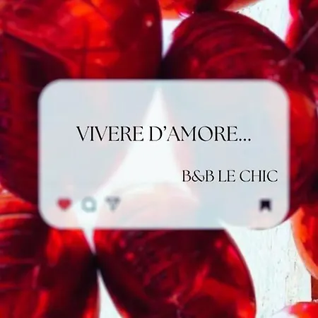 Le Chic * Sant'Antonio Abate